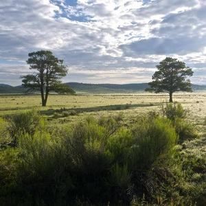 Meet your Posher, Yu